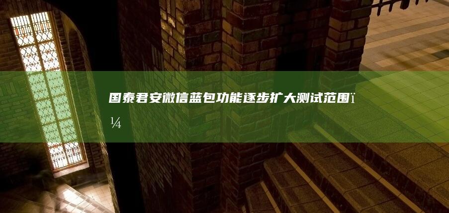 国泰君安：微信“蓝包”功能逐步扩大测试范围，有望加速裂变|美妆|客单价|国泰君安证券