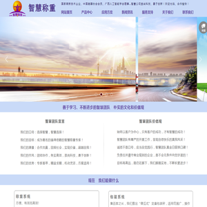 广西智慧称重科技有限公司www.智慧称重.cn