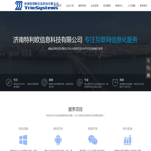 济南特利欧信息科技有限公司