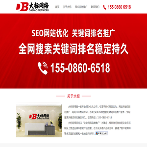 大标网络丨专业SEO优化公司