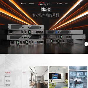 音王电声股份有限公司音频系统