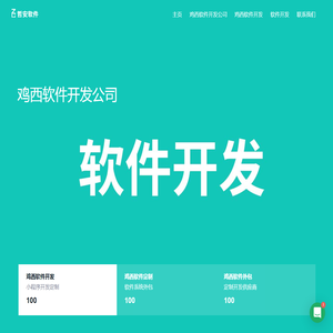 鸡西软件定制公司