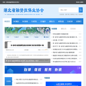 湖北省融资担保业协会