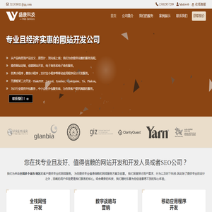 专业且经济实惠的网站开发公司