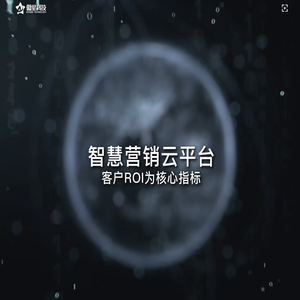 江西傲星科技有限公司