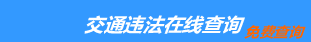 （手机版）济宁交通违章查询