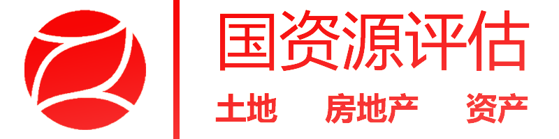 国资源评估有限公司