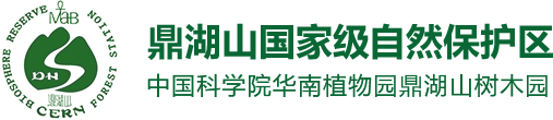 鼎湖山国家级自然保护区