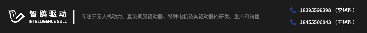 安徽智鸥驱动科技有限公司