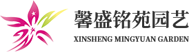 四川苗木基地直销