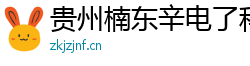 贵州楠东辛电了科技有限公司