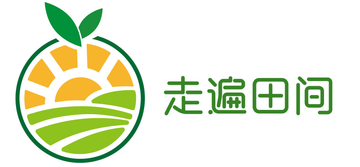 走遍田间只为顶级果礼｜走遍田间高端水果礼盒｜让商务礼品变得简单而多彩｜找回儿时的味道